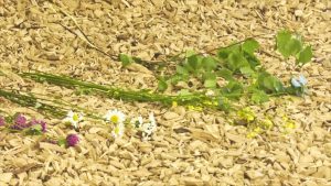 DER WEGSCHAMANE ROGER MATTLE SCHAMANISCHE HEILARBEIT INIDANISCHE SCHWITZHUETTE BLUMEN