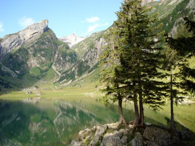 DER-WEGSCHAMANE-ROGER-MATTLE-SCHAMANISCHE-HEILARBEIT-GRUPPENCOACHING-Drum-Circle-in-der-kraftvollen-Natur