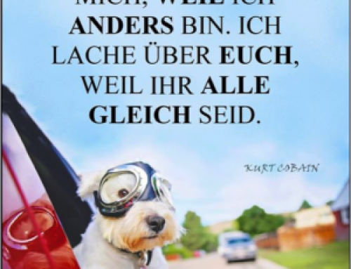 Spruch des Monats Dezember