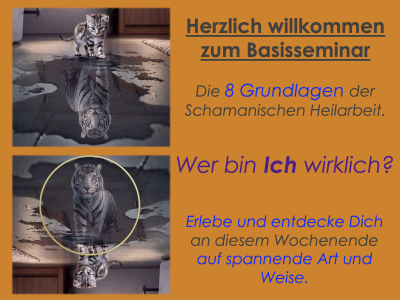 Bildschirmfoto 2022-06-02 um 13.38.18