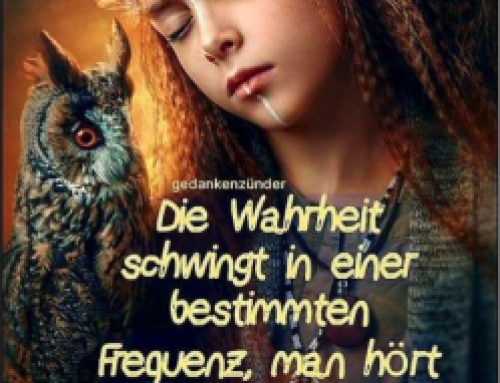 Spruch des Monats November