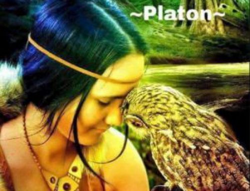 Spruch des Monats Februar