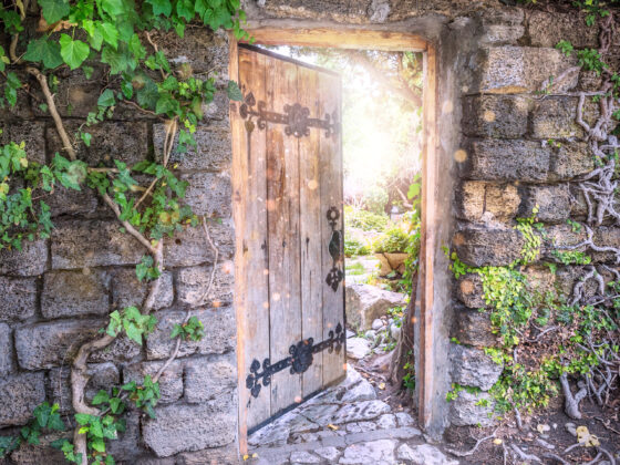 Mysterious wooden open door leading to garden as entrance to fairyland. Concept of new life, hope, happy fabulous adventure